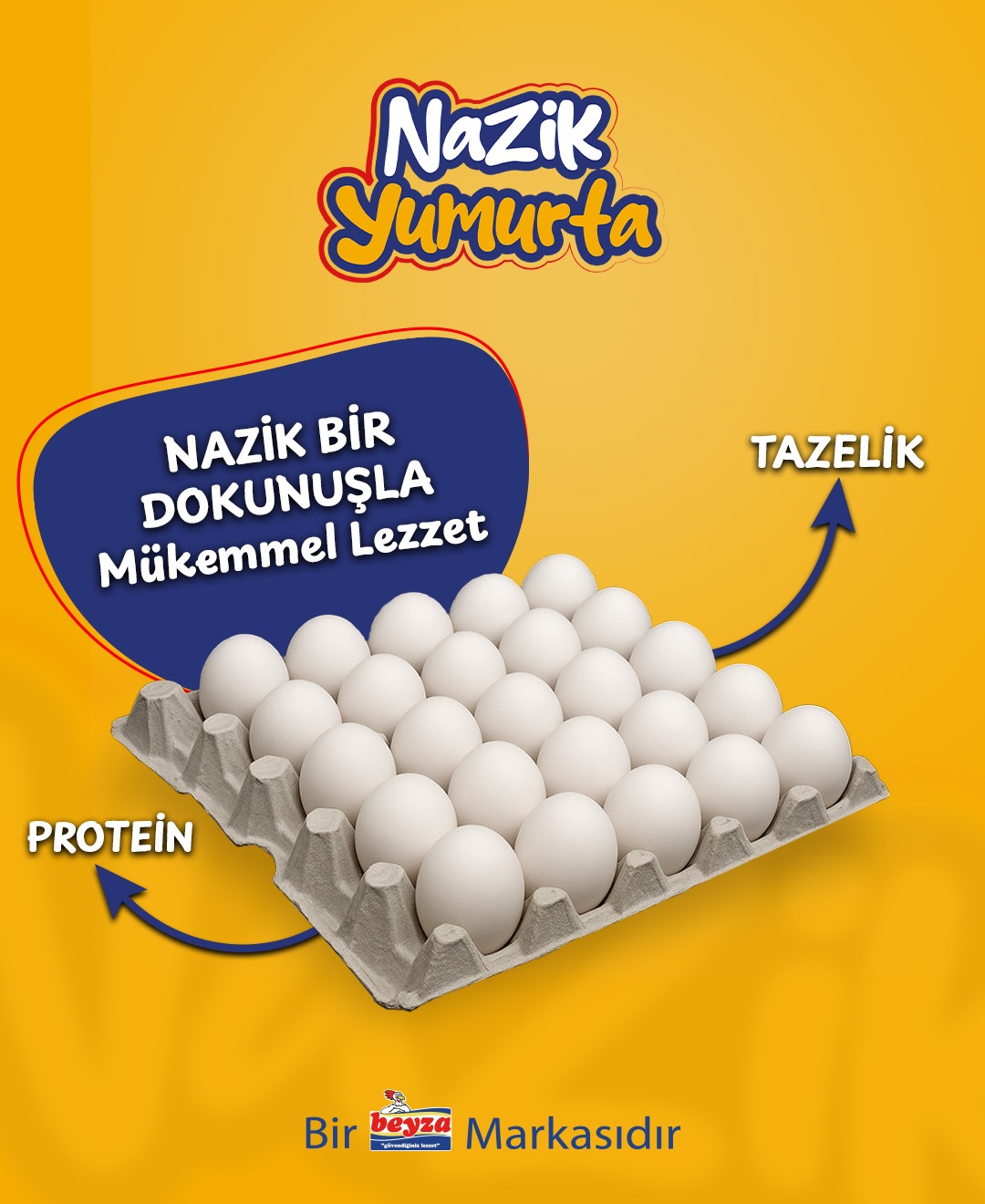 Tasarım